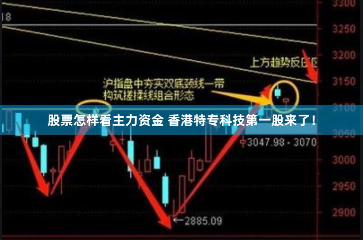 股票怎样看主力资金 香港特专科技第一股来了！